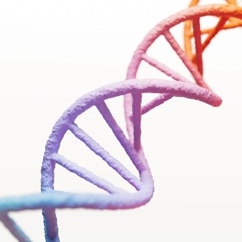 Imagem ilustrativa do DNA